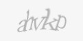 Güvenlik kodu